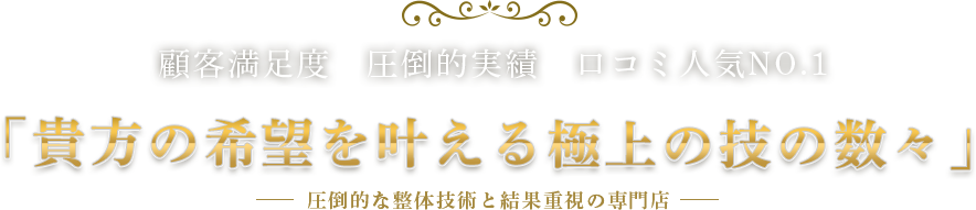 「貴方の希望を叶える極上の技の数々」